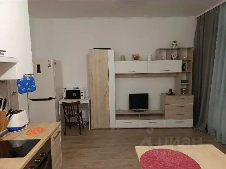 Студия Санкт-Петербург ул. Плесецкая, 20к2 (28.0 м) - Фото 1