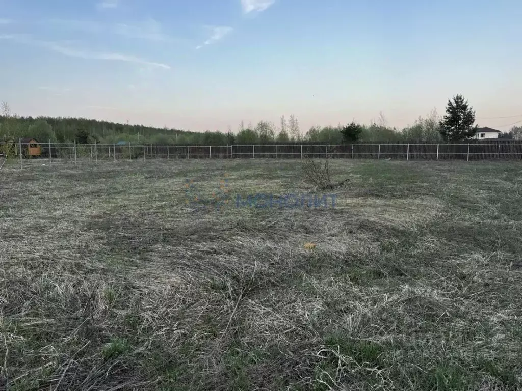 Участок в Нижегородская область, с. Безводное ул. Светлая (12.8 сот.) - Фото 2