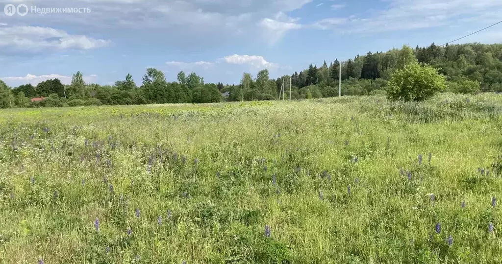 Участок в Московская область, городской округ Истра, коттеджный ... - Фото 0