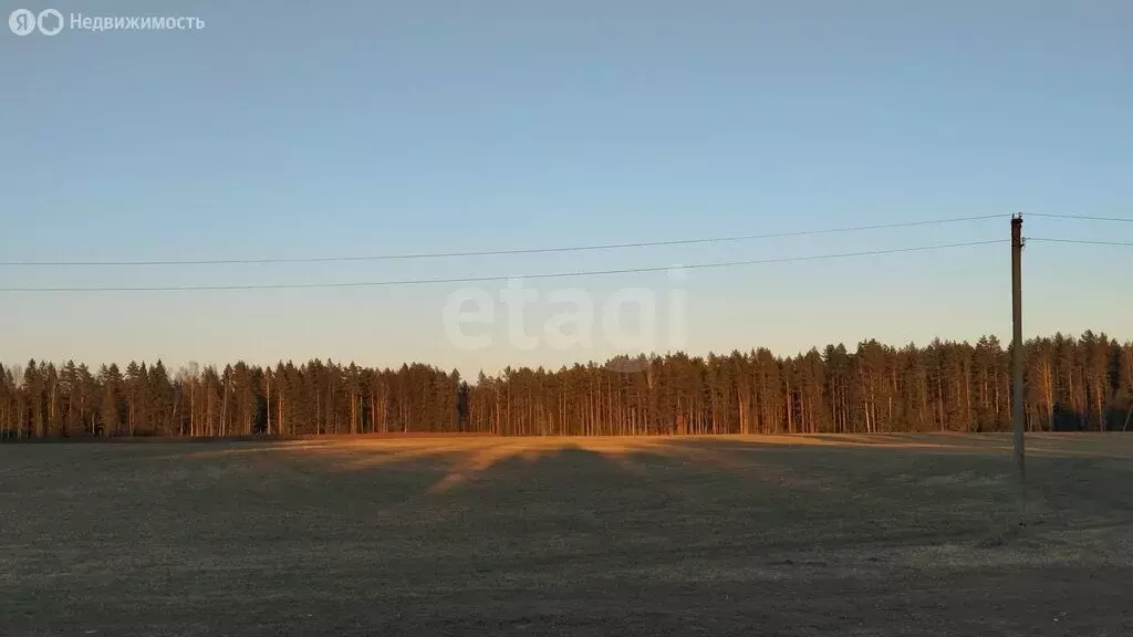 Участок в Будогощское городское поселение, массив Капустино (8 м) - Фото 2