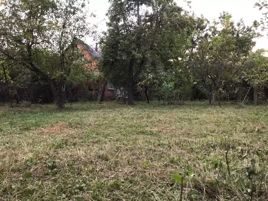 Участок в Краснодарский край, Краснодар Заводское садовое ... - Фото 1