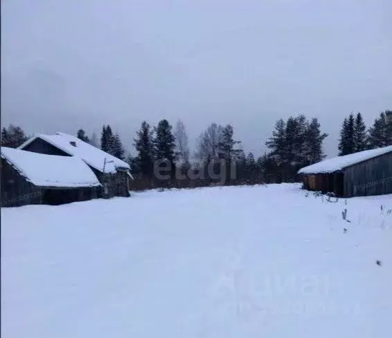 Участок в Вологодская область, Никольский муниципальный округ, пос. ... - Фото 1