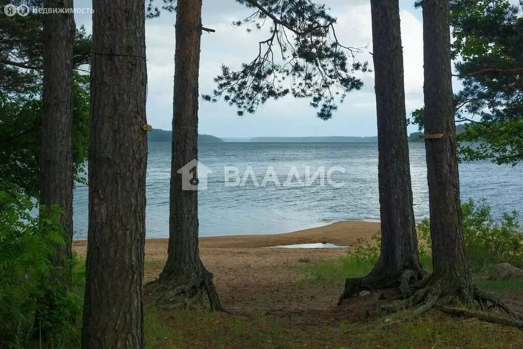 Участок в Громовское сельское поселение, посёлок Громово, 643 (19.5 м) - Фото 1