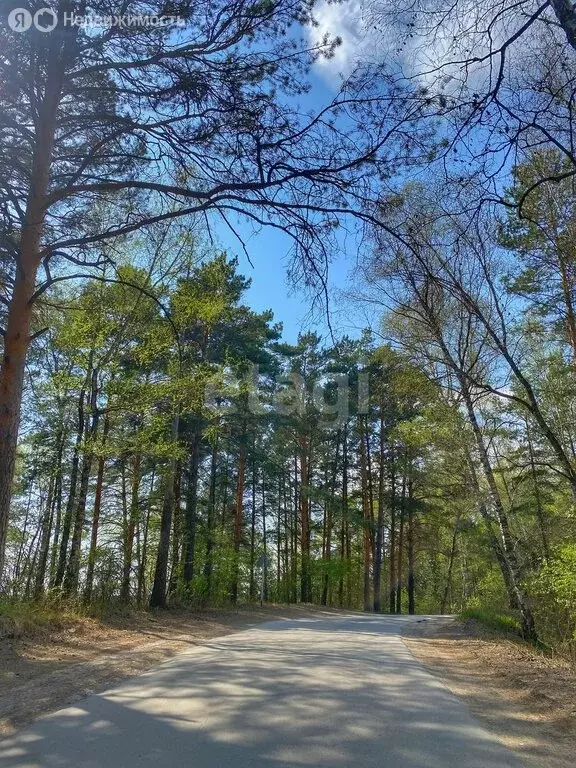 Дом в Искитимский район, село Морозово (700 м) - Фото 2