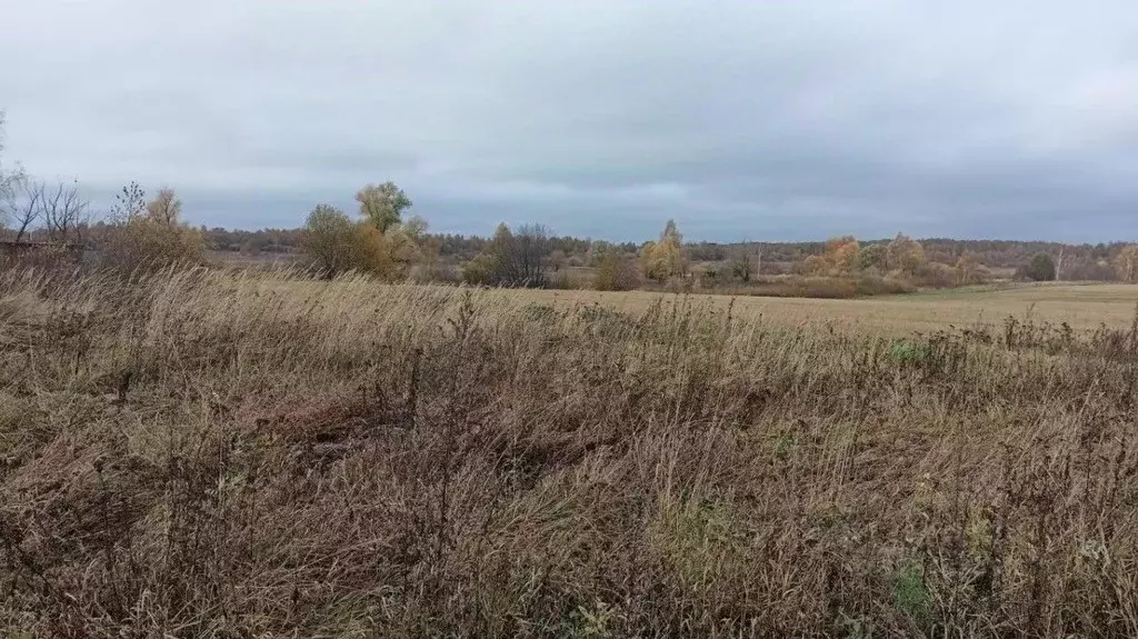 Участок в Московская область, Дмитровский муниципальный округ, д. ... - Фото 0