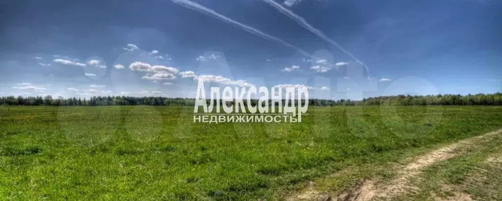 Участок 12,5 сот. (ИЖС) - Фото 1