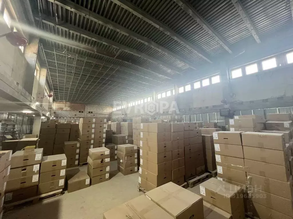 Помещение свободного назначения в Ульяновская область, Ульяновск ... - Фото 2