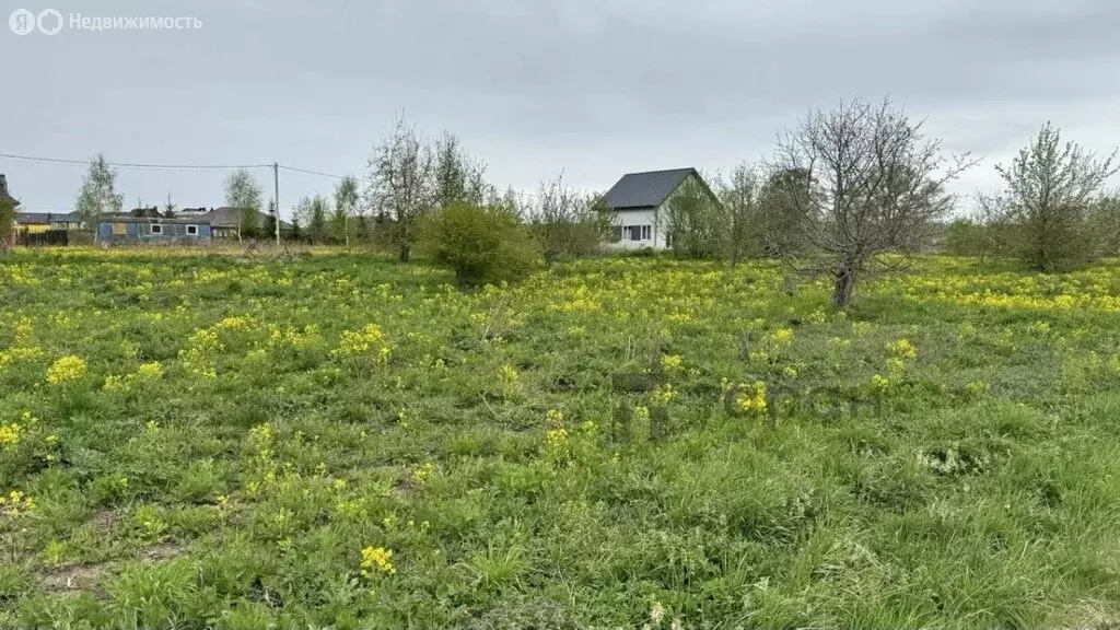 Участок в Калининградская область, Гурьевский муниципальный округ, ... - Фото 1