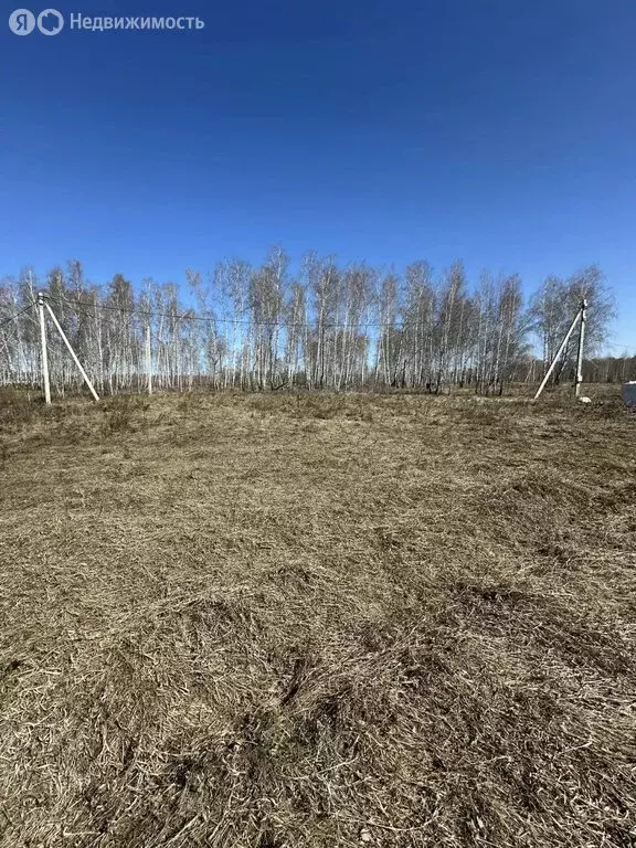 Участок в Челябинская область, Сосновский муниципальный округ, деревня ... - Фото 1