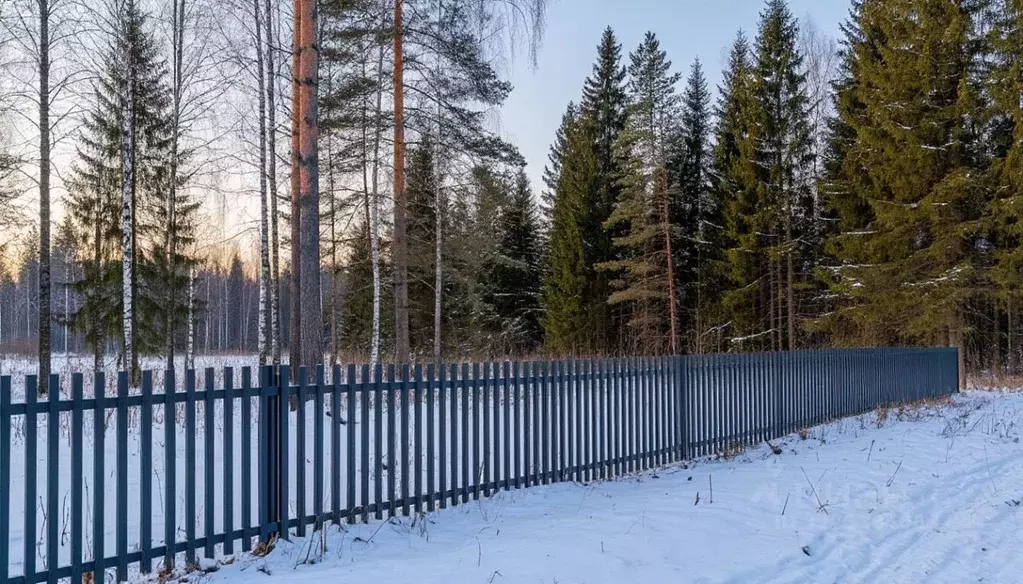 Участок в Московская область, Рузский муниципальный округ, д. ... - Фото 1
