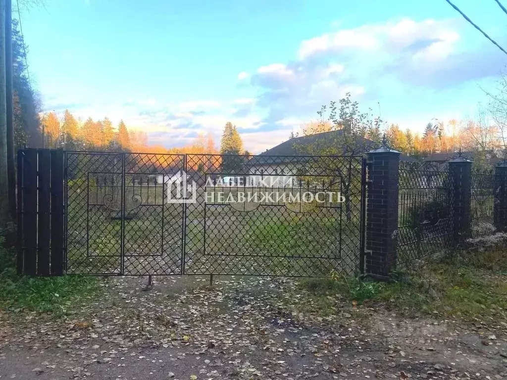 Участок в Ленинградская область, Выборгский район, Советское городское ... - Фото 2