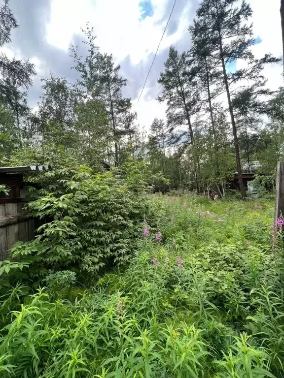 Участок в Саха (Якутия), Якутск городской округ, с. Маган  (6.0 сот.) - Фото 1