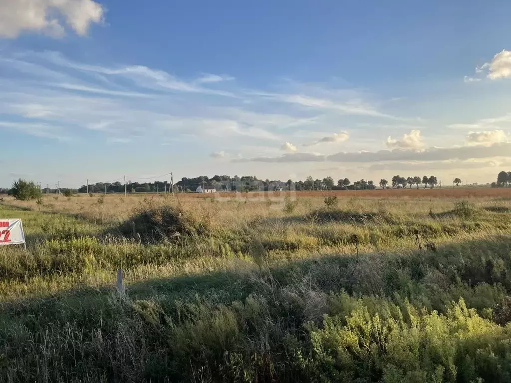 Участок в Калининградская область, Гурьевский муниципальный округ, ... - Фото 2