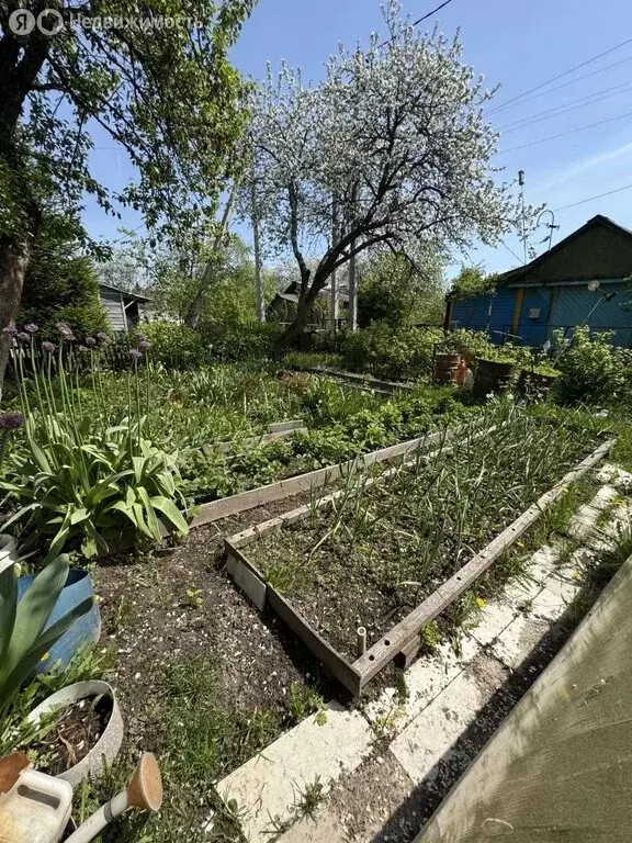 Дом в Кострома, СТ имени Крупской, 70 (28.1 м) - Фото 1