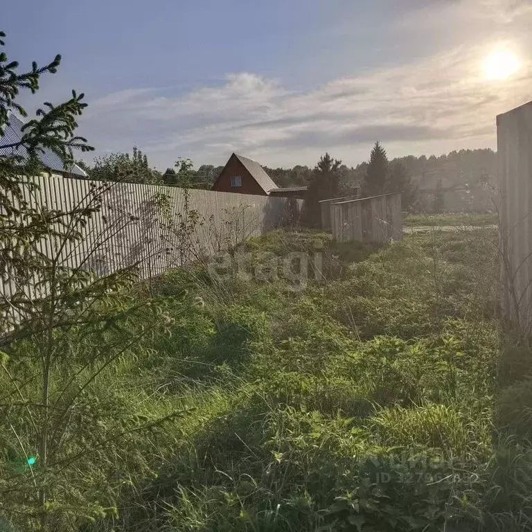 Участок в Новосибирская область, Колывань рп ул. Набережная, 31 (7.2 ... - Фото 1