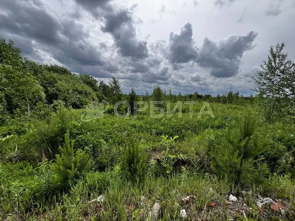 Участок в Тюменская область, Тюменский район, с. Кулига, Кулига-2 мкр  ... - Фото 1