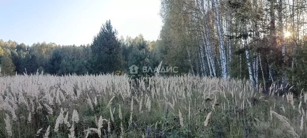 Участок в Владимирская область, Судогодский район, Лавровское ... - Фото 2