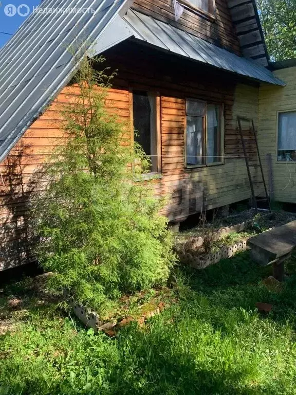 Участок в Вологодская область, Шекснинский муниципальный округ, ... - Фото 2