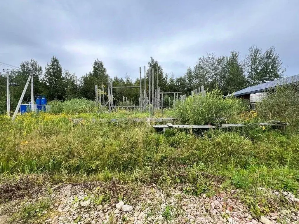 Участок в Ленинградская область, Гатчинский муниципальный округ, ... - Фото 1