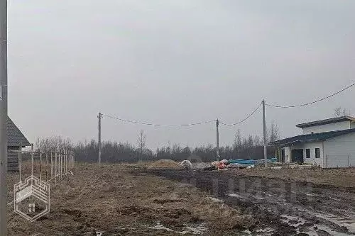 Участок в Новгородская область, Новгородский район, Борковское с/пос, ... - Фото 1