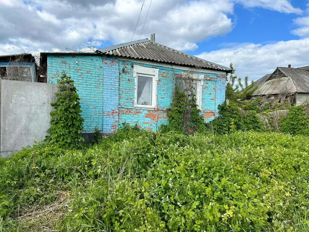 Дом в Белгородская область, Шебекинский городской округ, с. Нижнее ... - Фото 0