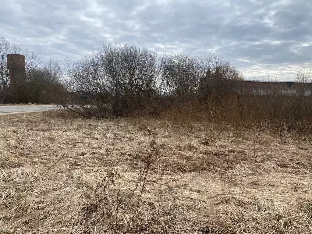 Участок в Московская область, Талдомский городской округ, с. ... - Фото 1