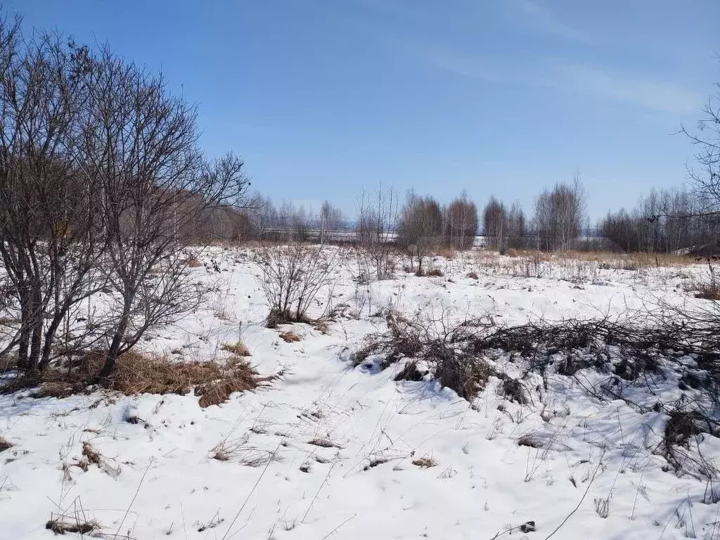 Участок 10 сот. (ИЖС) - Фото 1