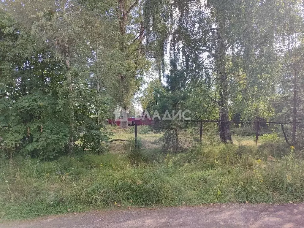 Участок в Владимирская область, Судогодский район, № 6 Ладога СНТ  ... - Фото 0