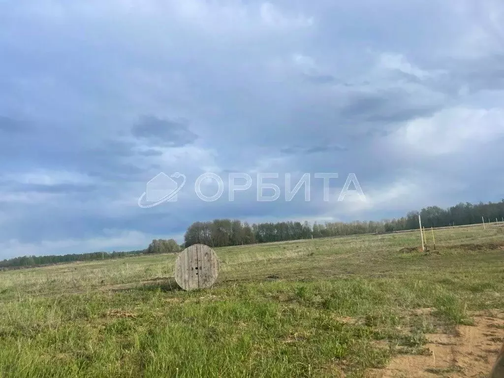 Участок в Тюменская область, Тюменский район, Новокаменский кп ул. ... - Фото 1