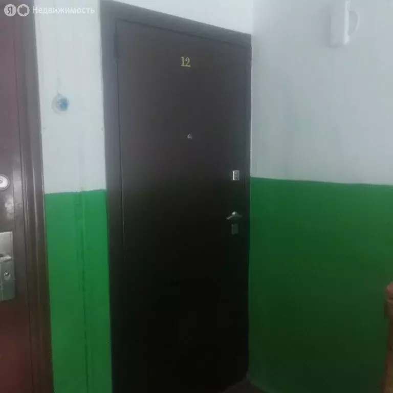 1-комнатная квартира: Карпушиха, улица Пушкина, 24 (29 м) - Фото 1