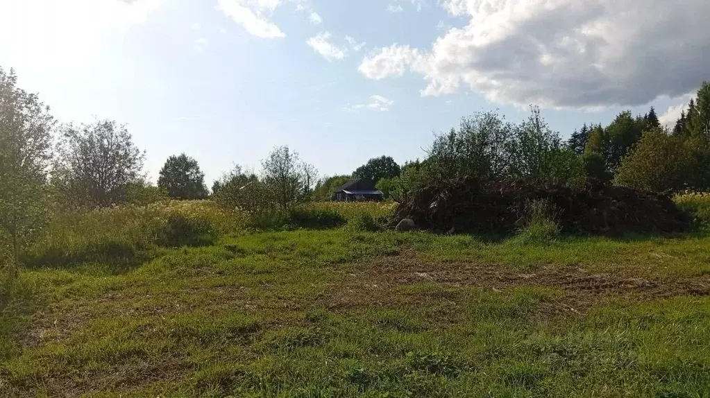 Участок в Вологодская область, Кирилловский муниципальный округ, д. ... - Фото 1