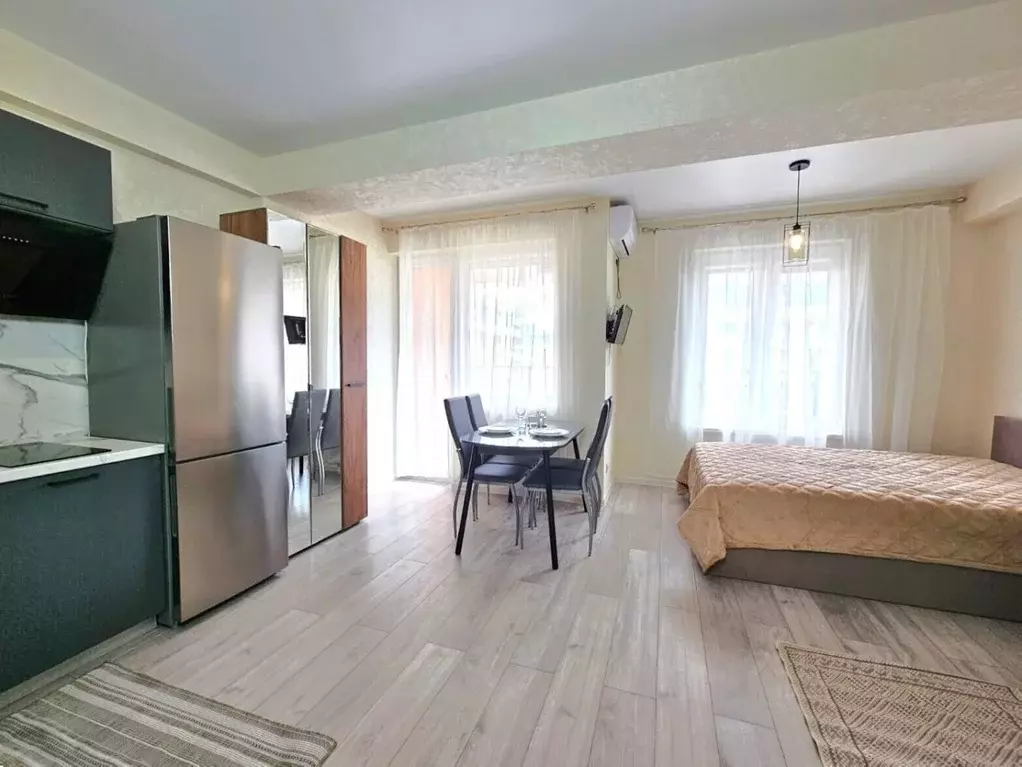 Студия Краснодарский край, Сочи городской округ, Дагомыс пгт ул. ... - Фото 1