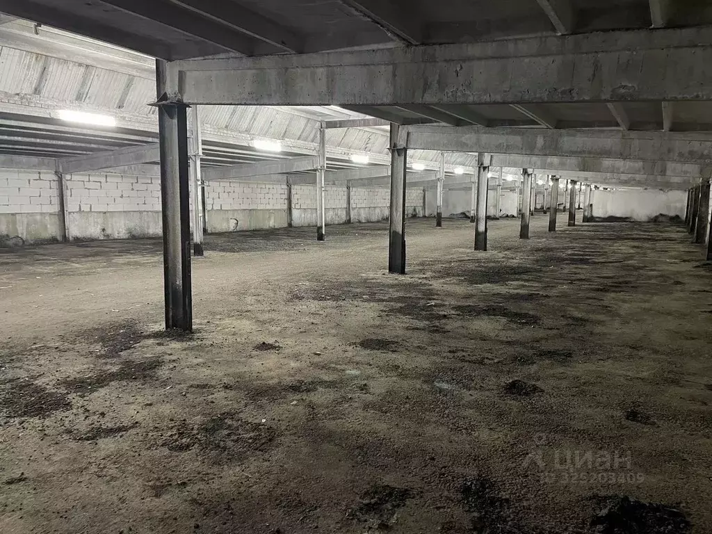 Склад в Ленинградская область, Всеволожский район, Романовское с/пос, ... - Фото 2