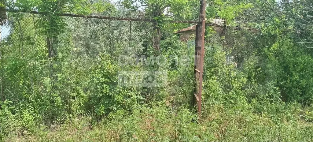Участок 6,3 сот. (СНТ, ДНП) - Фото 1