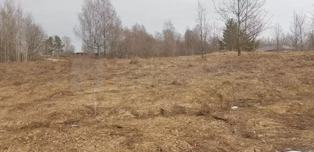 Участок в Новгородская область, Боровичский район, д. Егла Зеленый ... - Фото 0