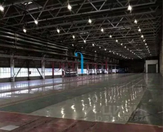 Производственное помещение в Московская область, Одинцовский городской ... - Фото 1