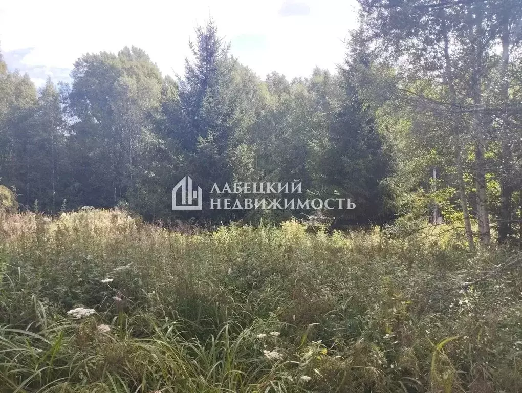 Участок в Московская область, Раменский муниципальный округ, ... - Фото 2