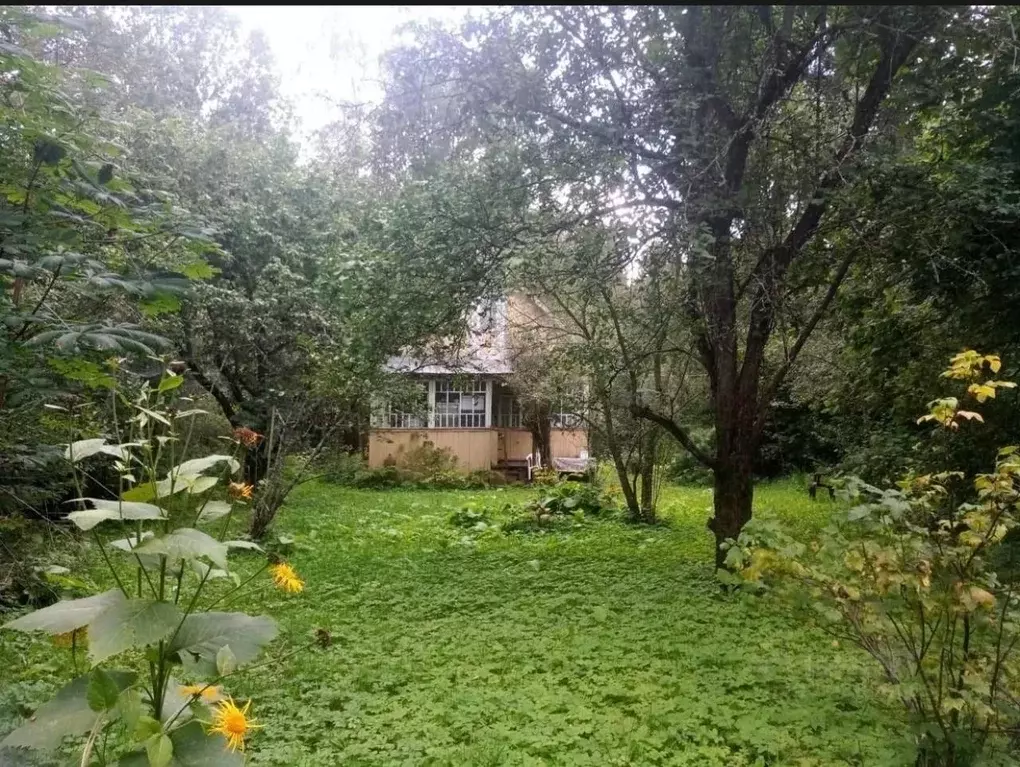 Участок в Московская область, Солнечногорск городской округ, Лесные ... - Фото 1