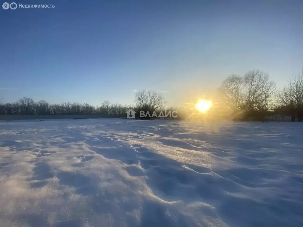 Участок в Московская область, муниципальный округ Луховицы, деревня ... - Фото 2