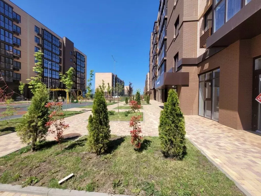 Помещение свободного назначения в Краснодарский край, Динской район, ... - Фото 0