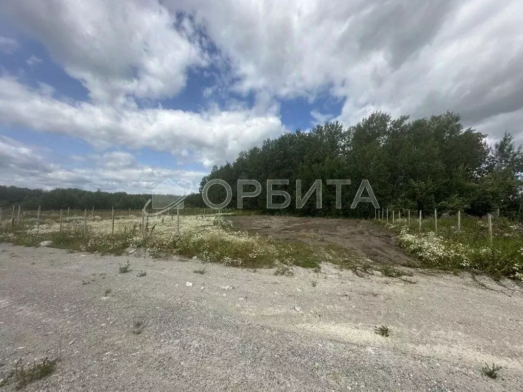 Участок в Тюменская область, Тюменский район, с. Горьковка  (8.92 ... - Фото 2