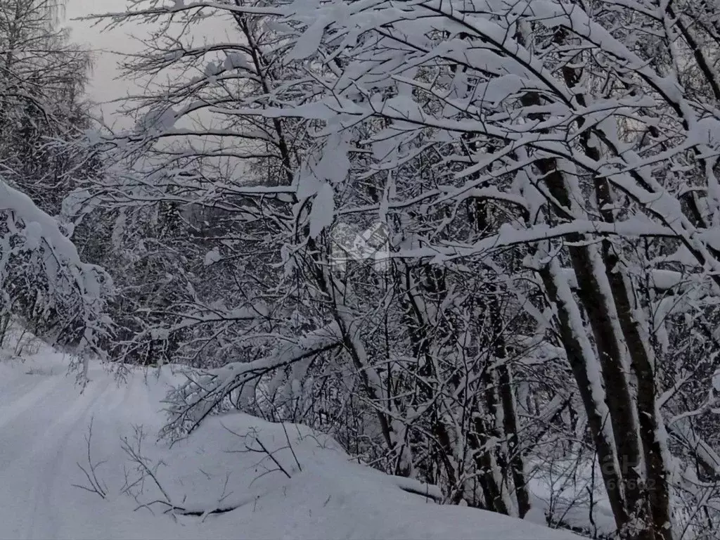 Участок в Ленинградская область, Лужский район, Мшинское с/пос, ... - Фото 2