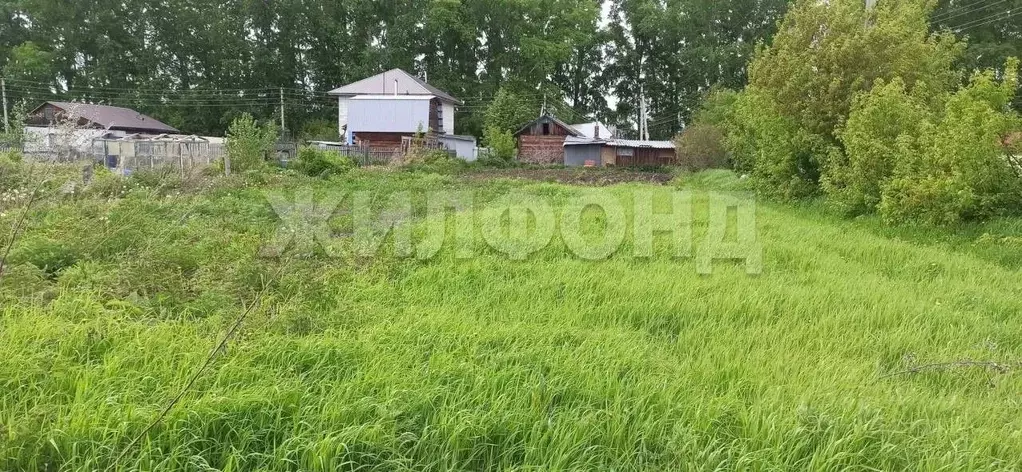 Участок в Новосибирская область, Мошковский район, с. Сокур Рабочая ... - Фото 0