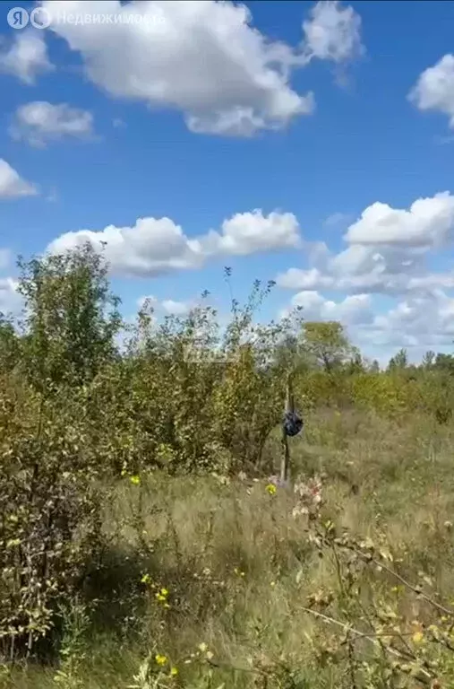 Участок в Сызранский район, сельское поселение Ивашевка, посёлок ... - Фото 2