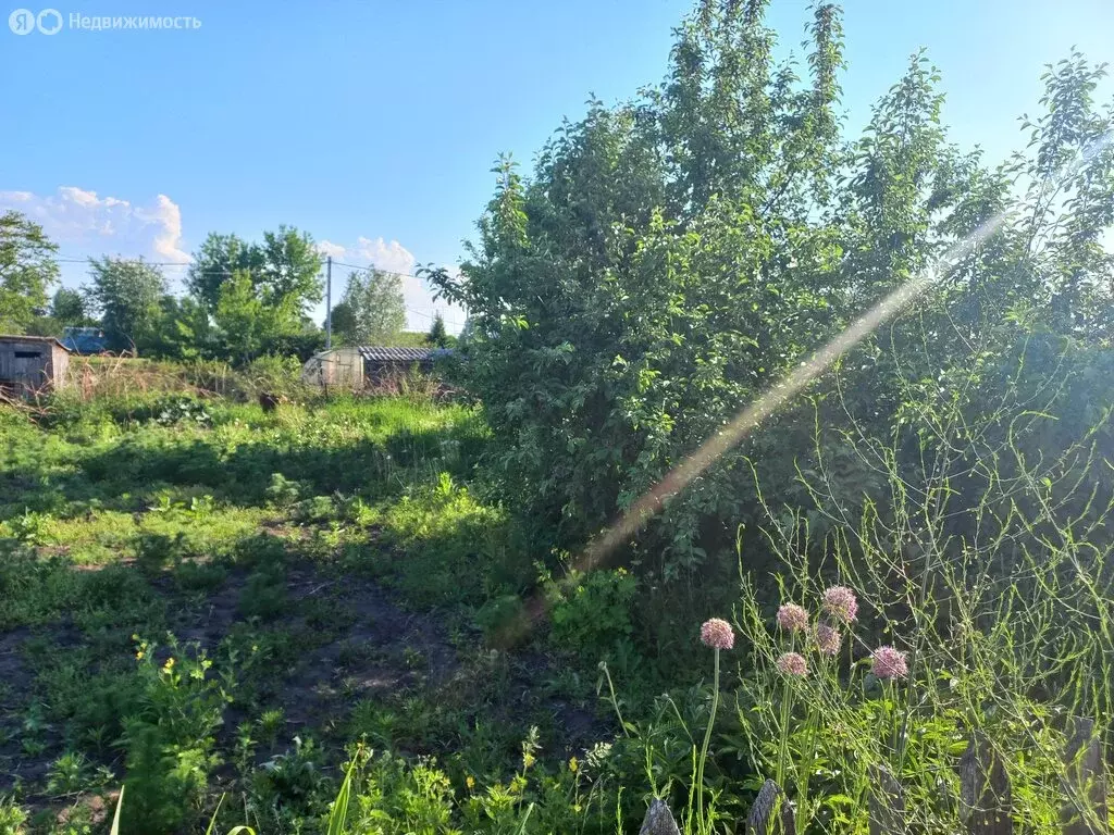 Участок в Новосибирск, садовое товарищество Виктория (3 м) - Фото 1