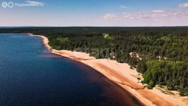 Участок в Выборгский район, Полянское сельское поселение, СНТ Система ... - Фото 2