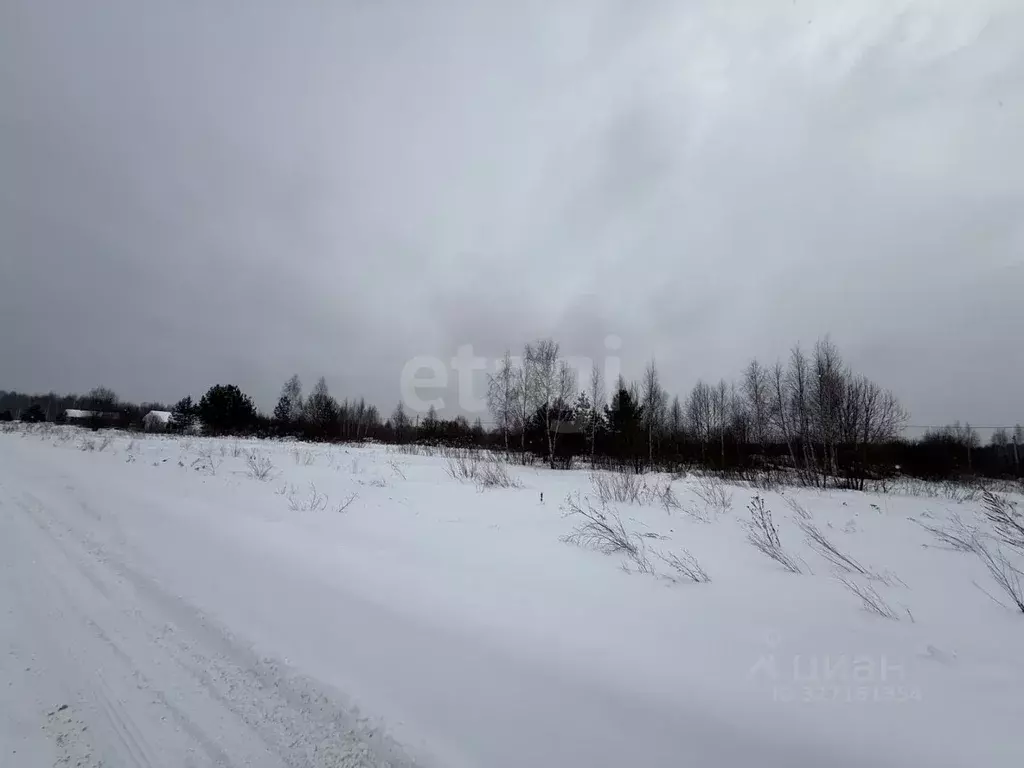 Участок в Костромская область, Кострома Соколиное Гнездо кп,  (8.2 ... - Фото 1