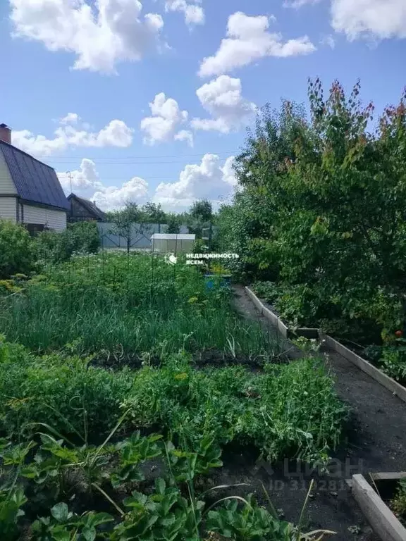 Дом в Челябинская область, Челябинск Станкостроитель-1 СНТ, ул. 2-я, ... - Фото 2