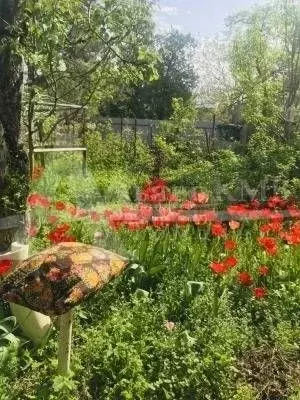 Дом 40 м на участке 3,2 сот. - Фото 0