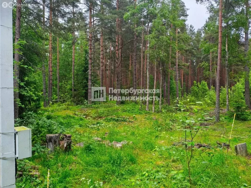 Участок в Высоцк, Пригородная улица (8.7 м) - Фото 2